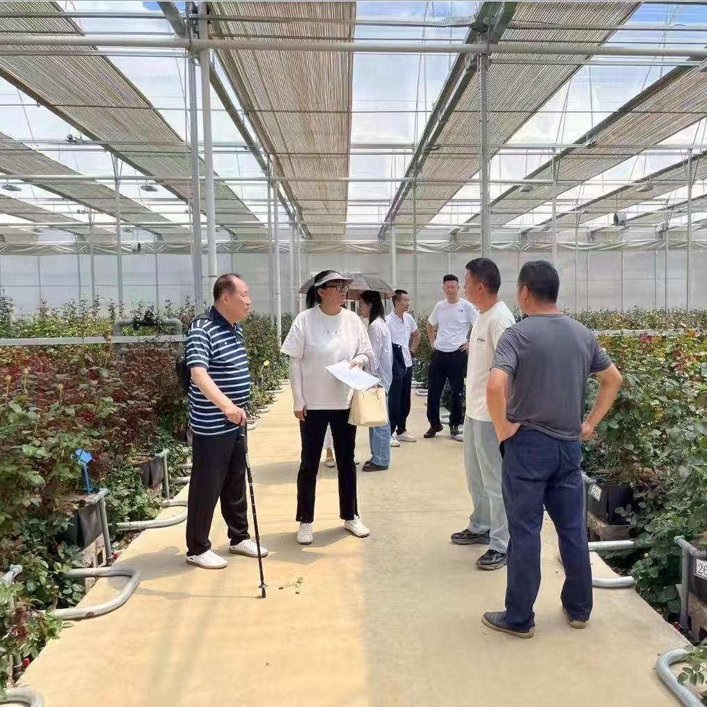 项目案例封面图 1